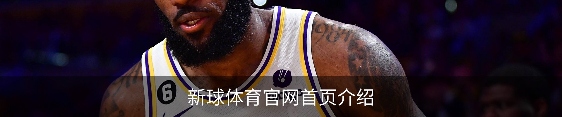 新球体育官网首页介绍